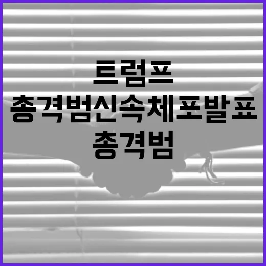 트럼프가 총격범 신속 체포 발표한 방법 - 요약
