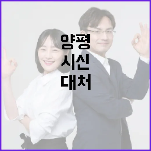 양평 두물머리에서 시신 발견 시 대처하는 방법 - 요약
