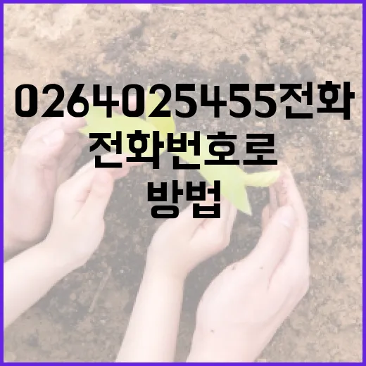 0264025455 전화번호로 알아보는 안전한 통화 방법 - 요약