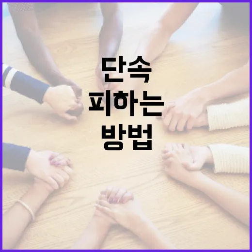 우회전 단속을 피하는 방법: 안전한 도로 주행을 위한 팁 - 요약