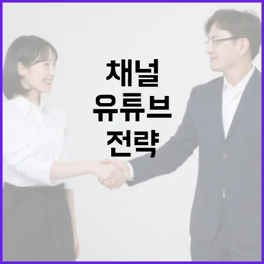 유튜버 수탉이 되는 방법: 성공적인 유튜브 채널 운영 전략 - 요약