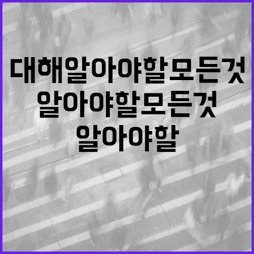 신종오에 대해 알아야 할 모든 것: 이해하고 활용하기 - 요약