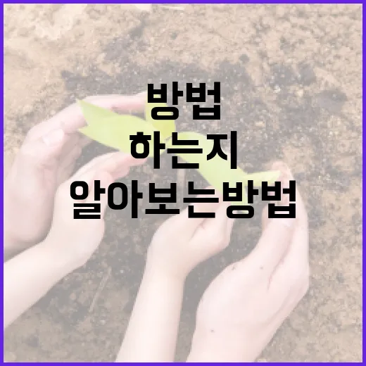 정재인에 대해 알아보는 방법: 그가 누구인지, 무엇을 하는지 - 요약
