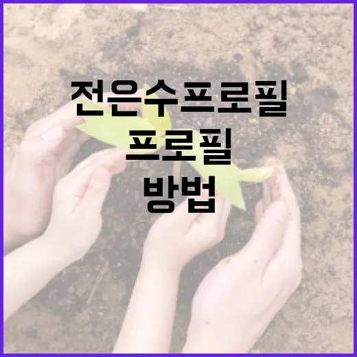 전은수 프로필을 효과적으로 이해하는 방법 - 요약