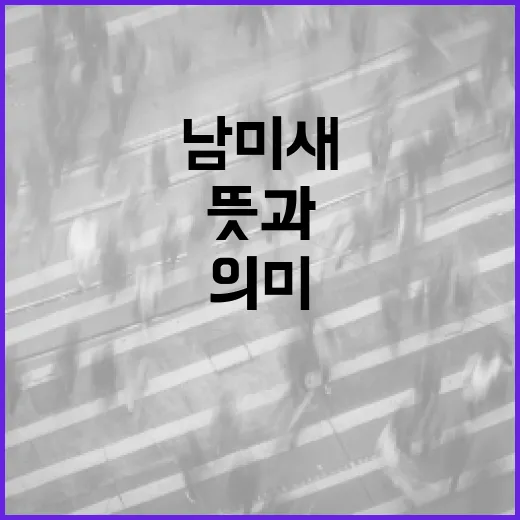 남미새 뜻과 그 의미를 이해하는 방법 - 요약