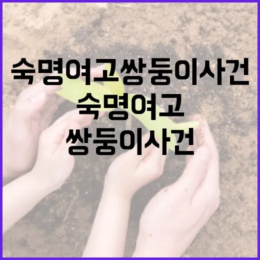 숙명여고 쌍둥이 사건 이해하기: 배경과 영향 - 요약