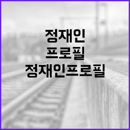 정재인 프로필을 이해하는 방법 - 요약