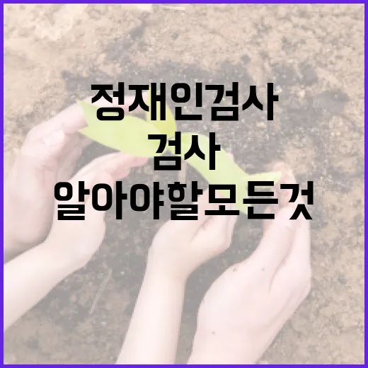 정재인 검사에 대해 알아야 할 모든 것 - 요약