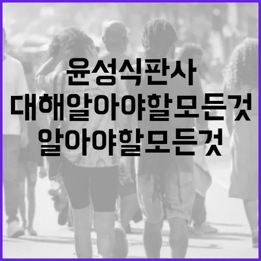 윤성식 판사에 대해 알아야 할 모든 것 - 요약