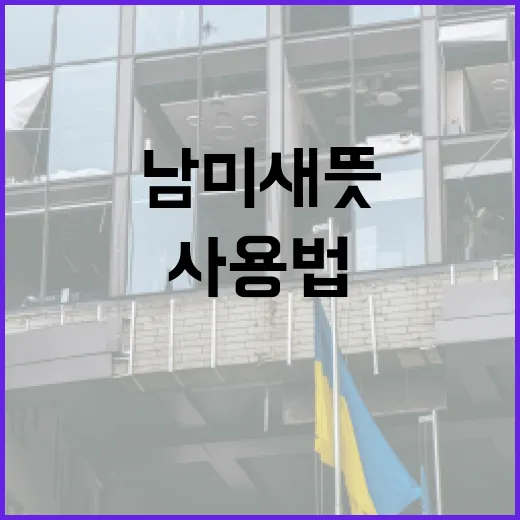 남미새 뜻과 사용법 이해하기 - 요약