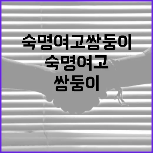 숙명여고 쌍둥이 논란을 이해하는 방법 - 요약