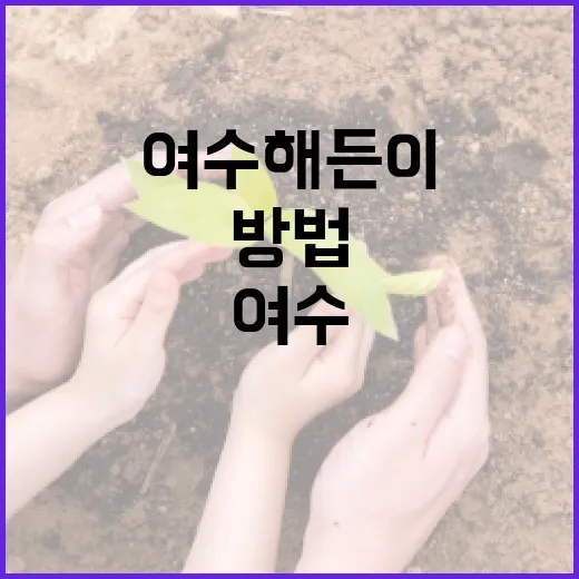 여수 해든이를 즐기는 방법: 초보자를 위한 가이드 - 요약