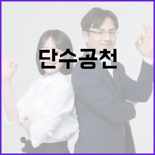 단수공천의 뜻과 이해하기 쉽게 설명하는 방법 - 요약