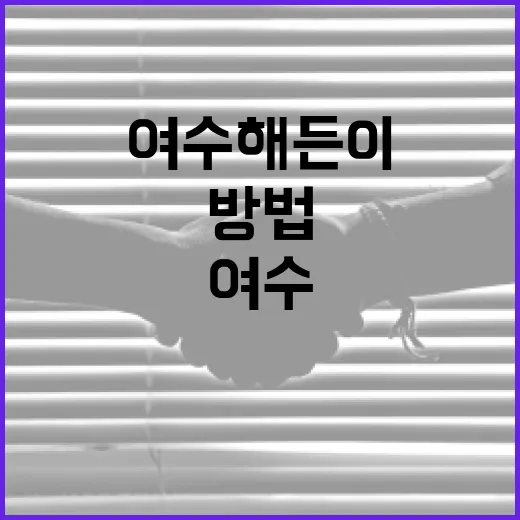 여수 해든이를 만끽할 수 있는 방법 - 요약