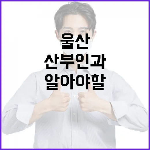 울산에서 산부인과를 선택할 때 알아야 할 것들 - 요약