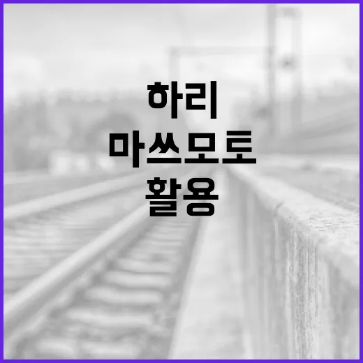 마쓰모토 하리를 이해하고 활용하는 방법 - 요약