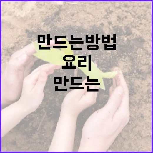 김녹완을 활용한 맛있는 요리 만드는 방법 - 요약