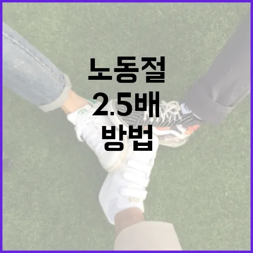 노동절에 2.5배 더 즐겁게 보내는 방법 - 요약
