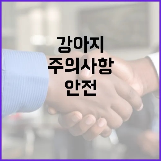 진동세꼬시 강아지를 위한 안전한 사용법과 주의사항 - 요약