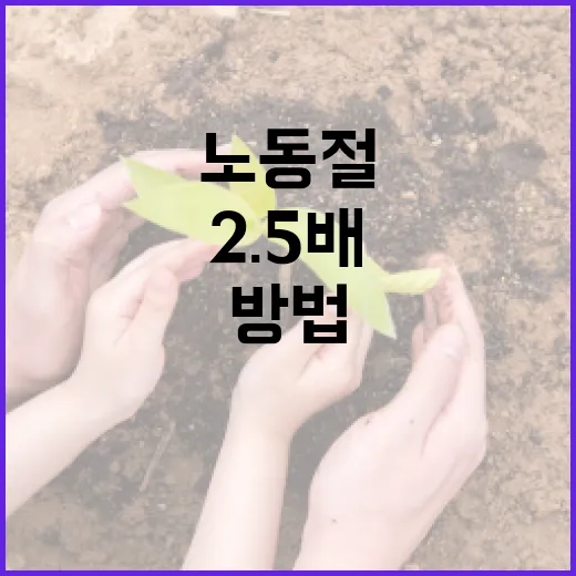 노동절에 2.5배 더 즐겁게 보내는 방법 - 요약