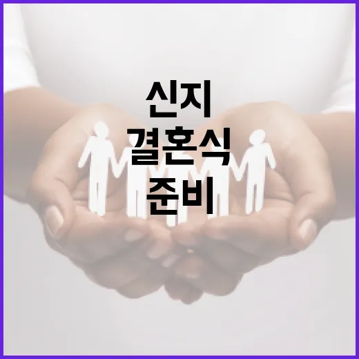 신지와 결혼식을 완벽하게 준비하는 방법 - 요약