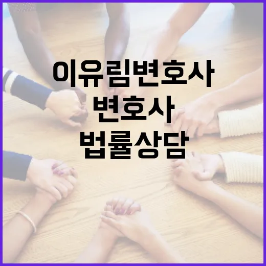 이유림 변호사에게 법률 상담을 받는 방법 - 요약