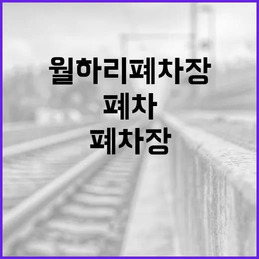 월하리 폐차장에서 폐차를 효율적으로 진행하는 방법 - 요약