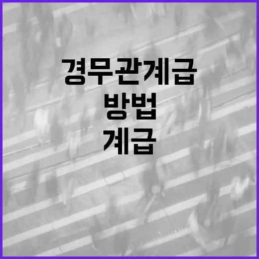 경무관 계급을 이해하는 방법 - 요약
