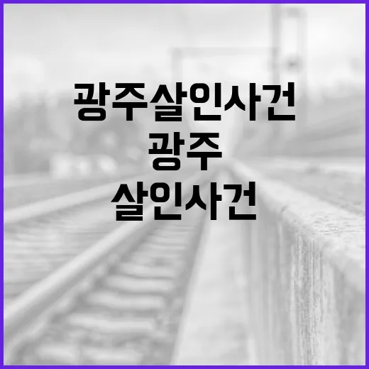광주 살인 사건에 대한 이해와 예방 방법 - 요약