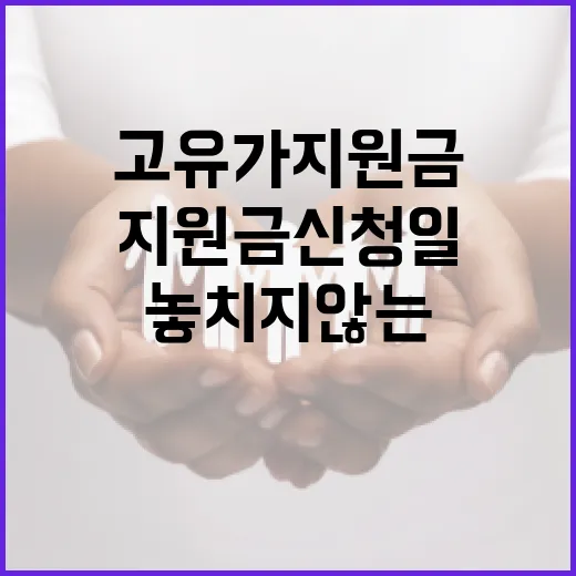 고유가 지원금 신청일을 놓치지 않는 방법 - 요약