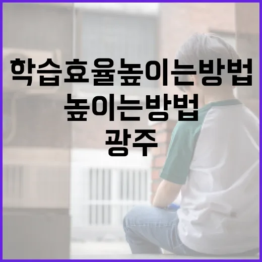 광주 여고생을 위한 학습 효율 높이는 방법 - 요약