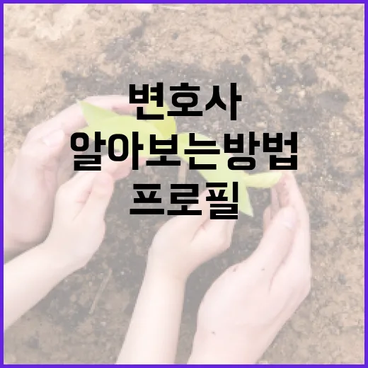 진은정 변호사의 프로필을 알아보는 방법 - 요약