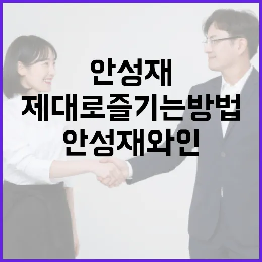 안성재 와인을 제대로 즐기는 방법 - 요약