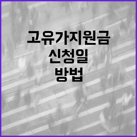 고유가 지원금 신청일을 준비하는 방법 - 요약