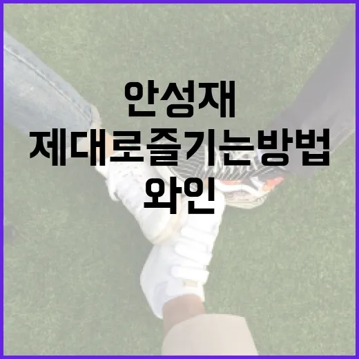 안성재 와인을 제대로 즐기는 방법 - 요약