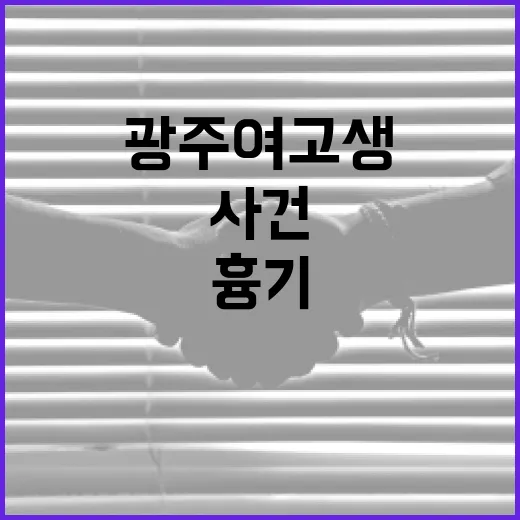 광주 여고생 흉기 사건 이해하기: 예방법과 대처법 - 요약