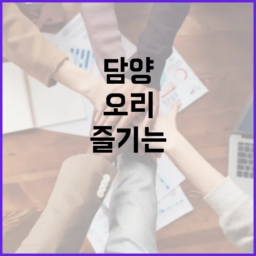 담양오리를 맛있게 즐기는 방법 - 요약