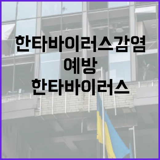 한타바이러스 감염 예방하는 방법 - 요약