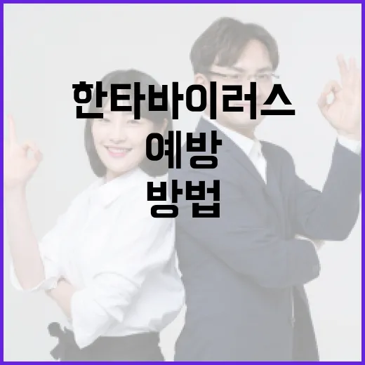 한타바이러스를 예방하는 방법 - 요약
