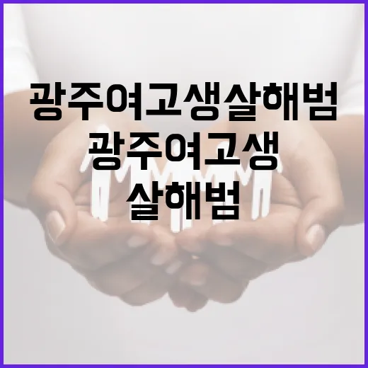 광주 여고생 살해범 사건에 대해 알아야 할 모든 것 - 요약