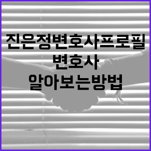 진은정 변호사 프로필 알아보는 방법 - 요약