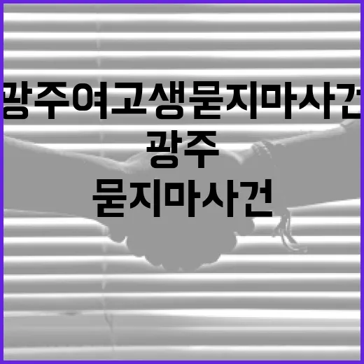 광주 여고생 묻지마 사건을 이해하는 방법 - 요약