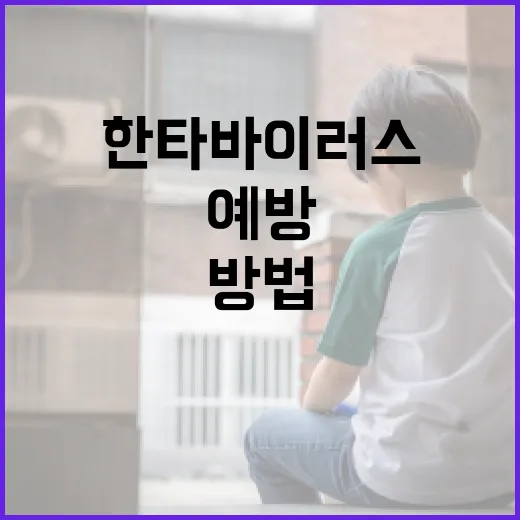 한타바이러스를 예방하는 방법 - 요약