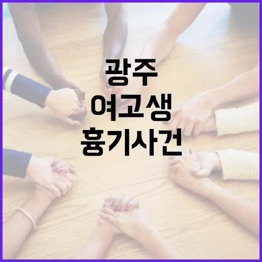광주 여고생 흉기 사건에 대한 이해와 대처 방법 - 요약