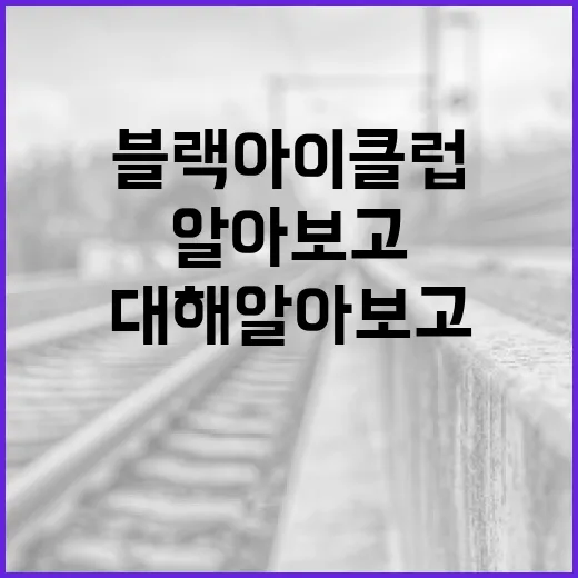 블랙아이클럽에 대해 알아보고 참여하는 방법 - 요약