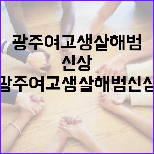 광주 여고생 살해범 신상을 알아보는 방법 - 요약