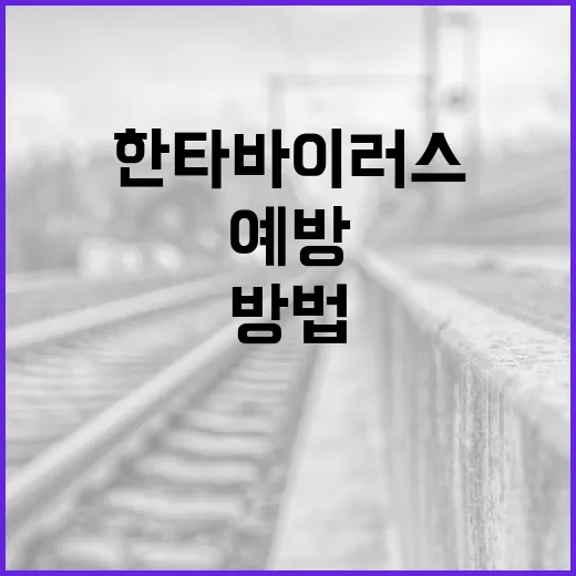 한타바이러스 예방하는 방법 - 요약
