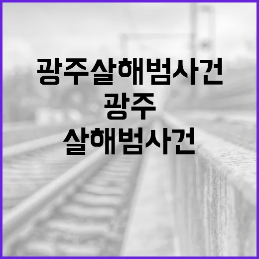 광주 여고생 장윤기의 성공 비결 알아보기 - 요약