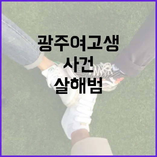 광주 여고생 살해범 사건 이해하기: 사건의 전말과 대응 방안 - 요약