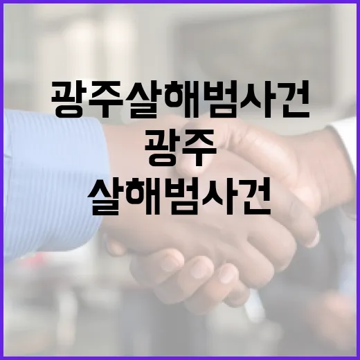광주 살해범 사건을 이해하는 방법 - 요약